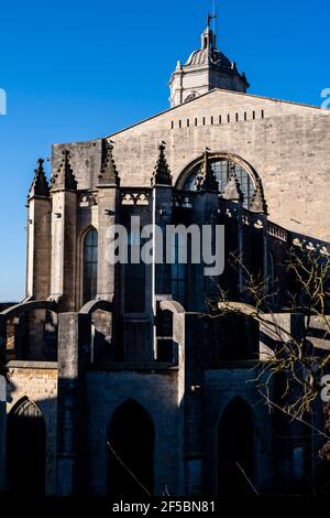 Centre historique de Gérone, Cathédrale de Gérone, Catalogne, Espagne. Banque D'Images