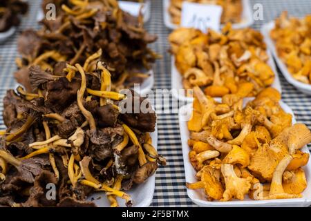 Vic marché hebdomadaire, produits frais et biologiques, chanterelle dorée (Cantharellus cibarius), Barcelone, Catalogne, Espagne. Banque D'Images