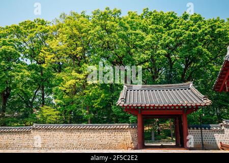 Sanctuaire Jongmyo à Séoul, Corée Banque D'Images