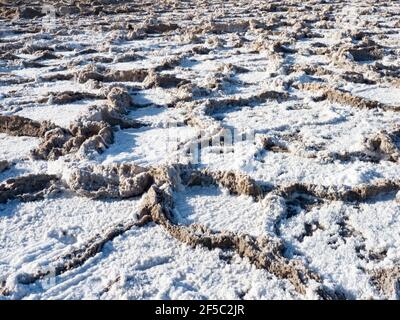 Le sel s'inonde dans le bassin de Badwater, le point le plus bas des États-Unis au parc national de la Vallée de la mort, en Californie, aux États-Unis Banque D'Images