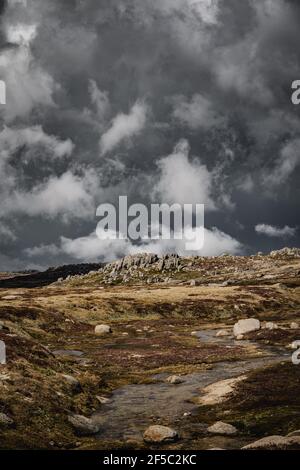 Vue imprenable sur les montagnes, vue sur la piste de marche de Kosciuszko dans le parc national de Kosciuszko. Banque D'Images