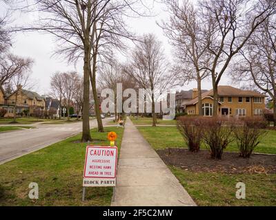 River Forest, Illinois, États-Unis. 25 mars 2021. Une paire agressive de faucons de Cooper (Accipiter cooperii) a été plongée sur des prédéstriens pour défendre leur nid, obligeant le village à mettre des panneaux d'avertissement sur le trottoir du 800 bloc de Clinton place. Le nid peut être vu dans l'arbre en haut à gauche. Banque D'Images