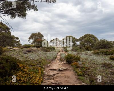 Sentiers de randonnée, parc national de Baw Baw, Victoria Australie. De Mount St Gwinear à Baw Baw Village. Banque D'Images