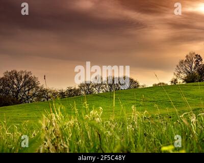 Des nuages illuminés depuis le soleil, juste avant la tempête. Banque D'Images