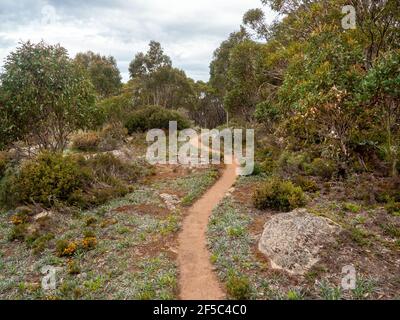 Sentiers de randonnée, parc national de Baw Baw, Victoria Australie. De Mount St Gwinear à Baw Baw Village. Banque D'Images