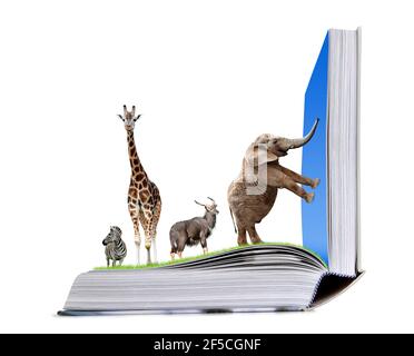 Livre ouvert de la nature avec des animaux isolés sur un fond blanc. Banque D'Images