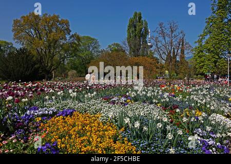 Géographie / voyage, Allemagne, Bade-Wurtemberg, GER, Bade-Wurtemberg, Mannheim, Luisenpark, Haut , droits-supplémentaires-autorisation-Info-non-disponible Banque D'Images