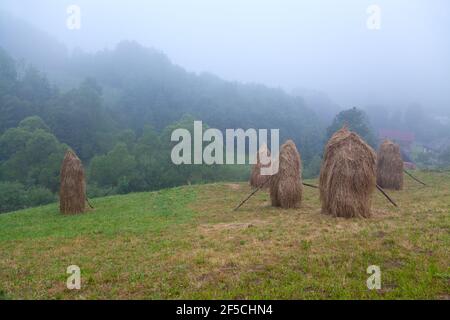 Des cabanes sur un pâturage de montagne près d'une forêt et d'un village de montagne. Banque D'Images