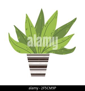 Une seule maison colorée en pot. Illustrations vectorielles d'une plante intérieure dans un pot de fleurs. Fleurs en pot de style dessin animé plat. Isolé sur le backgro blanc Illustration de Vecteur