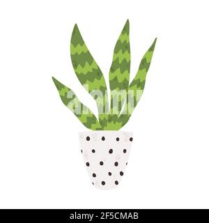 Une seule maison colorée en pot. Illustrations vectorielles de cactus d'intérieur en pot de fleurs. Plante d'intérieur en pot dans le style de dessin animé plat. Isolé sur b blanc Illustration de Vecteur