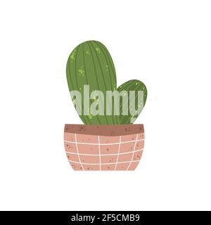 Une seule maison colorée en pot. Illustrations vectorielles de cactus d'intérieur en pot de fleurs. Plante d'intérieur en pot dans le style de dessin animé plat. Isolé sur b blanc Illustration de Vecteur