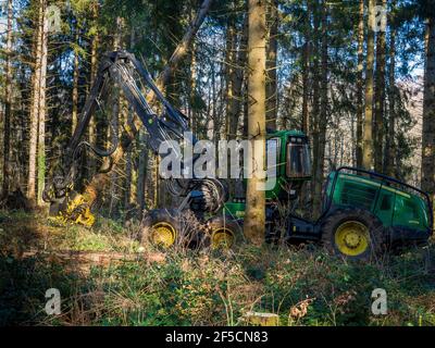 Travaux forestiers (éclaircie) en Auvergne, France. Banque D'Images
