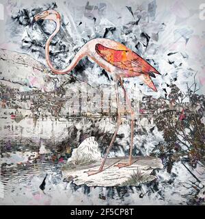 Illustration numériquement améliorée d'un flamants d'Amérique (Phoenicopterus ruber [ici comme Phoenicopterus americanus]). Le flam américain (ou des Caraïbes) Banque D'Images