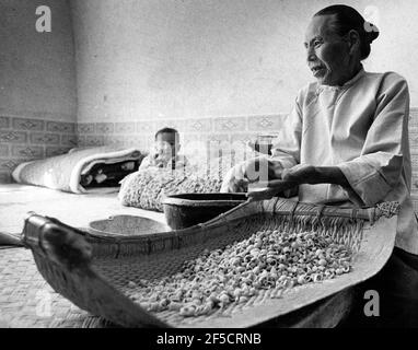 Shansi 1972-06-30 la famille Wang à Shansi. Une grand-mère fabrique des nouilles pour le déjeuner, le repas principal. Avec son index, elle fait des trous dans les petits morceaux de pâte. Photo: Ake Malmstrom / DN / TT / Code: 37 Banque D'Images