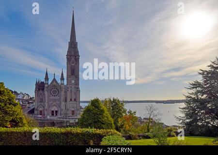 Cathédrale Saint-Colman avec port de liège à côté, Cobh, Irlande Banque D'Images