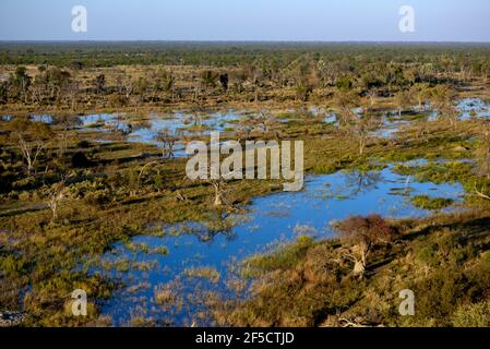 Géographie / voyage, Botswana, paysage, plaines de Gomoti, delta de l'Okavango, Vie aérienne, droits-supplémentaires-autorisation-Info-non-disponible Banque D'Images