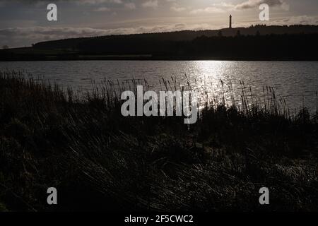 Silhouette du Wellington Monument Folly Loch près de Kelso dans le Roxburghshire, en Écosse Banque D'Images