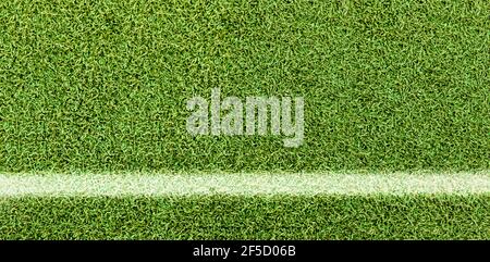 Fond de texture d'herbe verte. Herbe verte artificielle. Ligne blanche sur le terrain de football. Vue de dessus d'un arrière-plan en herbe claire. Concept d'idée utilisé pour MAK Banque D'Images