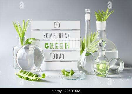 Laboratoire écologique. Texte « Do Something Green Today » sur palette blanche. Feuilles vertes exotiques dans l'eau. Flacons en verre transparent, flacons, boîtes de Pétri Banque D'Images