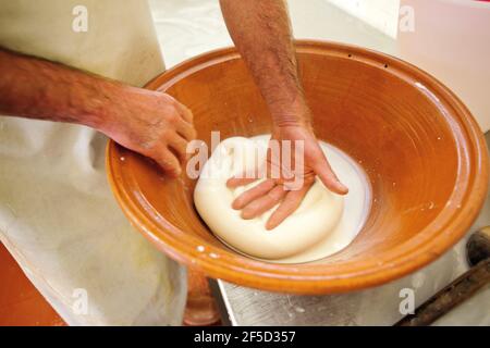 casizolu fromage produit avec du lait de vaches élevées dans le Sauvage en Sardaigne Banque D'Images