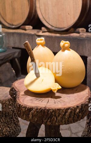 casizolu fromage produit avec du lait de vaches élevées dans le Sauvage en Sardaigne Banque D'Images