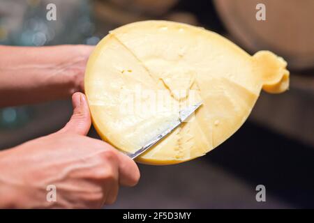 casizolu fromage produit avec du lait de vaches élevées dans le Sauvage en Sardaigne Banque D'Images