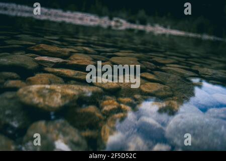 ruisseau calme avec de nombreuses pierres sur le chemin, entouré par beaucoup de forêt verte en catalogne, espagne Banque D'Images