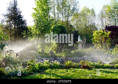 Arrosage artificiel des pelouses et des parterres de fleurs dans le jardin, Allemagne Banque D'Images