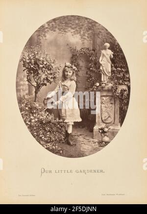 Notre petit jardinier. Portrait par étapes d'une jeune fille debout dans un jardin tenant un arrosoir incliné sur les plantes. Elle porte une robe de couleur claire avec une ceinture sombre et une couronne de fleur sur sa tête. Une statue en pierre se trouve au sommet d'un piédestal sculpté à droite, et un vase peint rempli de fleurs se trouve sur le sol en face de lui. Un fond peint est composé de deux colonnes cannelées entourées de vignes. (Recto, montage) centre inférieur, sous l'image, imprimé à l'encre grise : « OUR LITTLE GARDENER » (NOTRE PETIT JARDINIER). '4.' En bas à gauche, imprimé à l'encre grise : « The Juvenile Gallery ». En bas à droite, imprimé à l'encre grise : « Fred. Bruckmann va Banque D'Images