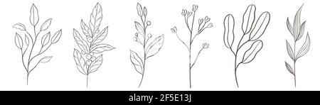 Ensemble graphique tendance avec élégant groupe contemporain d'œuvres d'art florales minimalistes Banque D'Images