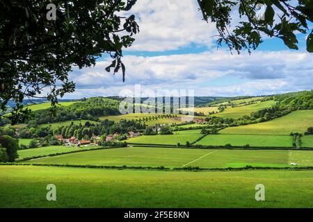 Vue de Fingt Wood à Fingt Village et Cadmore End dans les Chiltern Hills près de High Wycombe ; Fingt, Buckinghamshire, Royaume-Uni Banque D'Images