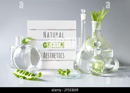 Laboratoire écologique. Texte esthétique vert naturel sur palette blanche. Feuilles vertes exotiques dans des flacons en verre transparent, des flacons, des boîtes de Pétri. Réflexions Banque D'Images