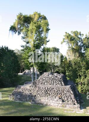 Temple des masques de Uaxactun Guatemala Banque D'Images