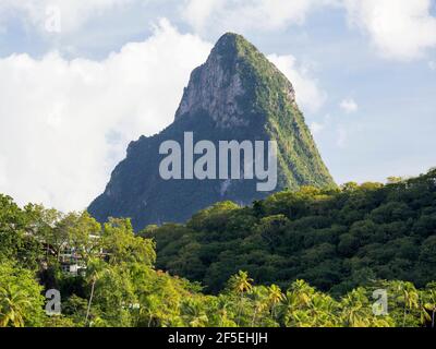 Soufrière, Sainte-Lucie. Vue depuis l'Anse Chastanet sur la canopée de la forêt tropicale jusqu'au sommet du petit Piton, coucher du soleil. Banque D'Images