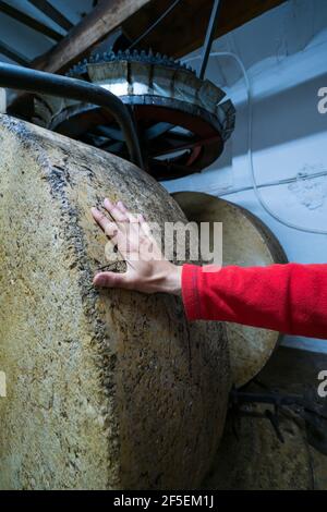 Moulin à olives Moli de la Creu, État Finca l'Arion, village d'Ulldecona, territoire de la Senia, terres de l'Ebre, Tarragone, Catalogne, Espagne Banque D'Images