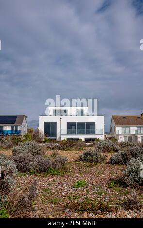 Maison de plage sur Shoreham Beach surplombant la mer avec rare végétation poussant sur le bardeau, y compris le chou et les cornes jaunes coquelicots Banque D'Images