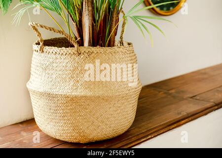 pots dans un panier en osier. Un grand panier avec une fleur sur le rebord de la fenêtre. Intérieur de la maison. Détails de conception. Grande maison Banque D'Images