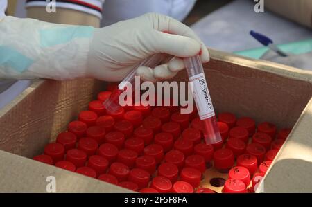 New Delhi, Inde. 26 mars 2021. Un travailleur de la santé portant un gant vu tenant des échantillons prélevés par écouvillons pour le test Covid-19 RT-PCR sur le côté de la route à Shalimar Bagh.en Inde, 59,118 nouveaux cas confirmés de covid-19 ont été enregistrés au cours des 24 dernières heures et le 69e jour de la vaccination, 55 millions de doses de vaccin Covid-19 administrées, et jusqu'à présent, 23 58,731 doses de vaccin ont été administrées au cours des 24 dernières heures. (Photo par Naveen Sharma/SOPA Images/Sipa USA) crédit: SIPA USA/Alay Live News Banque D'Images