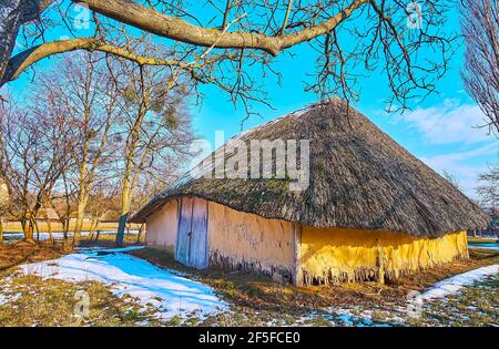La scène rurale pittoresque - une ancienne grange en argile avec toit de paille et porte en bois au milieu de la cour verte, couverte de neige fondante, début du printemps, Pyrohiv Banque D'Images