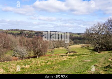 Vue sur la campagne dans la zone de beauté naturelle exceptionnelle (AONB) de Wealden, Englod du Sud-est Banque D'Images