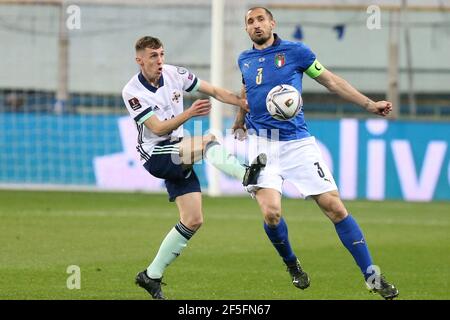 Giorgio Chiellini d'Italie lors de la coupe du monde de la FIFA 2022, match de football du groupe de qualifications C entre l'Italie et l'Irlande du Nord le 25 mars 2021 au stade Ennio Tardini à Parme, Italie - photo de Laurent Lairys / ABACAPRESS.COM Banque D'Images