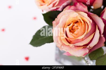 Roses roses roses roses et ornements en forme de coeur gros plan sur le blanc arrière-plan Banque D'Images