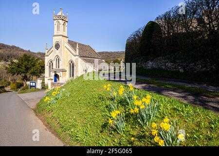 Printemps dans les Cotswolds - jonquilles à côté de l'église de St John dans le village de Sheepscombe, Gloucestershire Royaume-Uni Banque D'Images