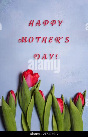 Cinq fleurs de tulipe naturelles, rose vif et rouge, avec des feuilles vertes et texte de salutation pour la fête des mères Hapy sur fond de béton texturé bleu. Greeti Banque D'Images