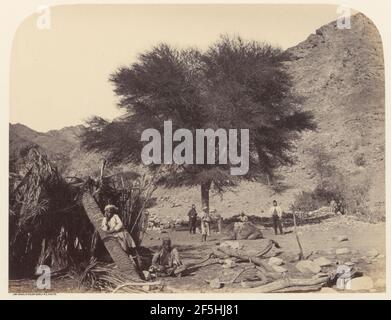 Arbre seyal (shitim), dédié au Saint patron, Wady Feiran. Sgt. James M. McDonald (anglais, 1822 - 1885) Banque D'Images