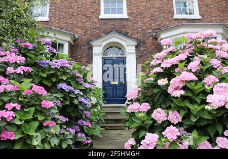 109 Welsh Row dans la ville de Nantwich, dans le Cheshire Banque D'Images