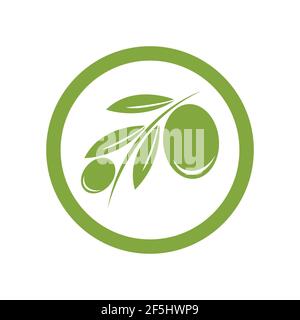 motif vectoriel de modèle de logo olive Illustration de Vecteur