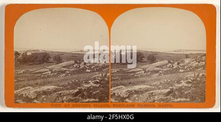 Vue sur Cushing Island, Portland Harbour, Maine. Simon Towle (américain, actif Lowell, Massachusetts 1855 - 1893) Banque D'Images