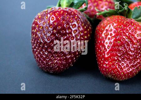Fraises fraîches juteuses, trois morceaux, étales à plat, sur fond noir. Banque D'Images