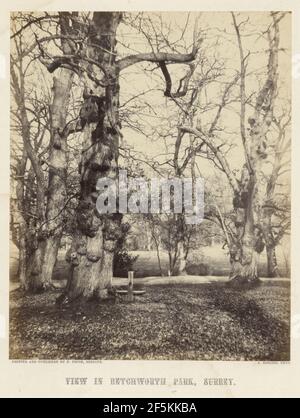 Vue à Betchworth Park, Surrey. Alfred Rosling (Grande-Bretagne, 1802 - 1880) Banque D'Images